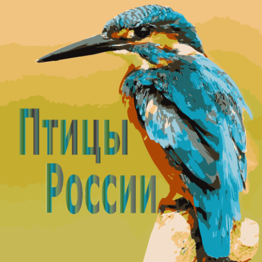 Птицы России  