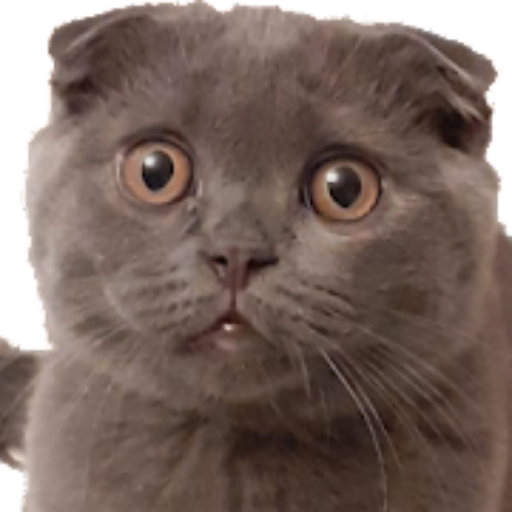 Займи кота