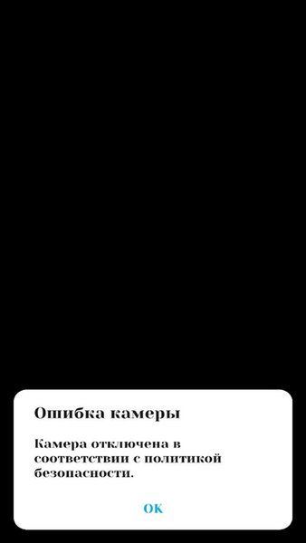 Берёзка - Блокировка камеры — Инструменты, скриншот интерфейса 3