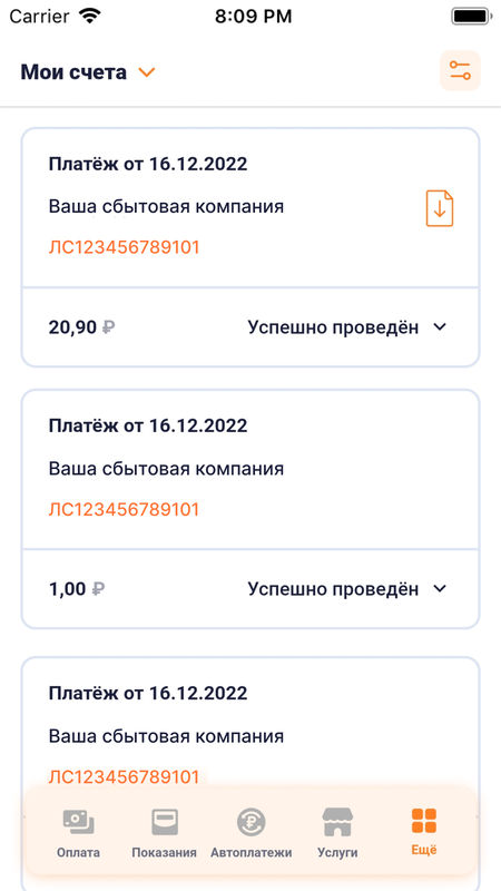 ЕИРЦ СПб/ПСК — Финансы, скриншот интерфейса 2