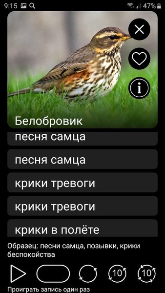 Манок на птиц: песни, позывки, голоса птиц — Книги и справочники, скриншот интерфейса 5