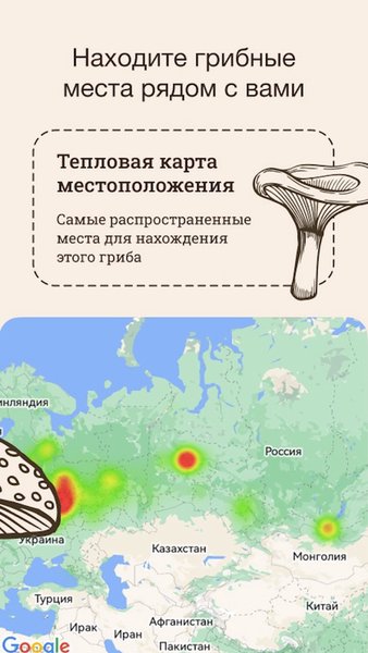 Гриб ID — Книги и справочники, скриншот интерфейса 4
