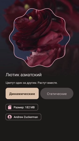 WallMan — Персонализация, скриншот интерфейса 3