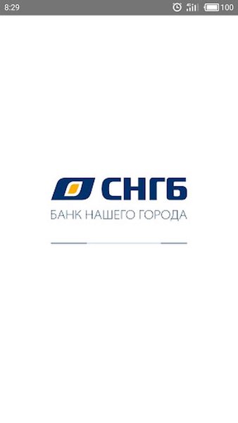 СНГБ Онлайн Бизнес — Банки, скриншот интерфейса 2
