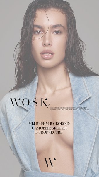 WOSK 1147 — Покупки, скриншот интерфейса 6