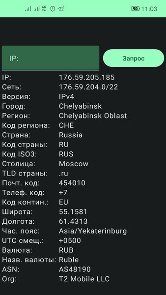 Simple IP Info — Инструменты, скриншот интерфейса 1