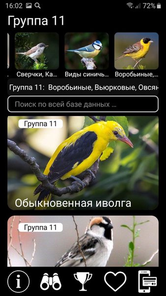 Птицы России PRO — Образование, скриншот интерфейса 7