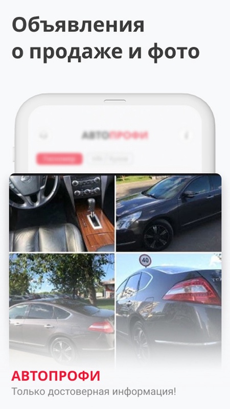 База ГИБДД - проверка авто — Автомобили и транспорт, скриншот интерфейса 5