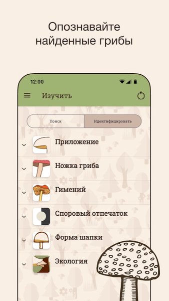 Гриб ID — Книги и справочники, скриншот интерфейса 1
