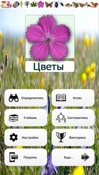 ЭкоГид: Цветы – Фото, Атлас и Определитель — Книги и справочники, скриншот интерфейса 1