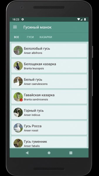 Прогрессивный Гусиный манок — Развлечения, скриншот интерфейса 2