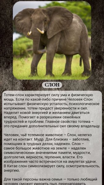 Тотемные животные и другие тесты — Развлечения, скриншот интерфейса 2