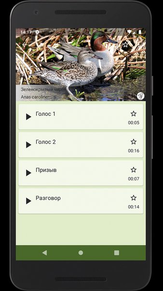 Прогрессивный Утиный манок — Развлечения, скриншот интерфейса 2