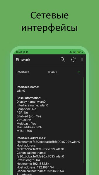 Ethwork: Netstat и Сеть — Инструменты, скриншот интерфейса 1