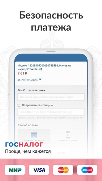 Гос налог - долги по налогам — Финансы, скриншот интерфейса 4