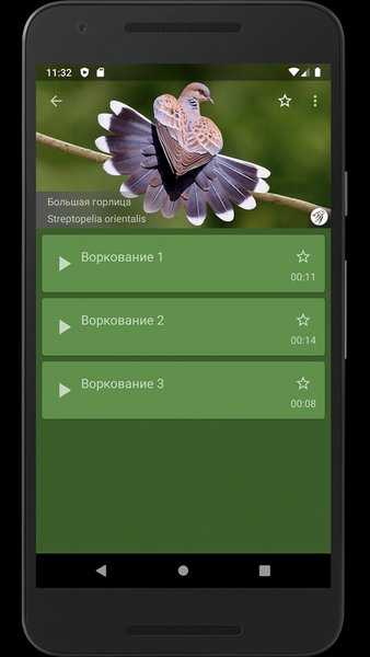 Манок на степную птицу — Развлечения, скриншот интерфейса 3