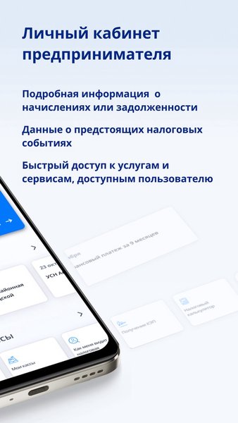 Личный кабинет предпринимателя — Бизнес, скриншот интерфейса 2