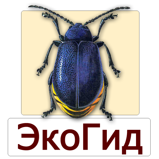 ЭкоГид: Насекомые-вредители леса - Атлас и Определитель
