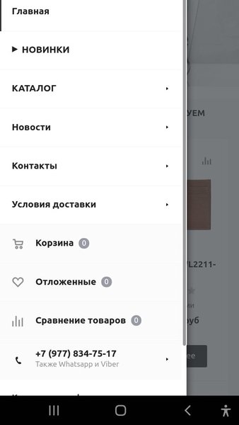 BRUNO PERRI — Бизнес, скриншот интерфейса 4