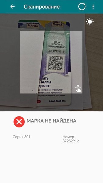 Ассистент Tillypad ЕГАИС — Бизнес, скриншот интерфейса 7