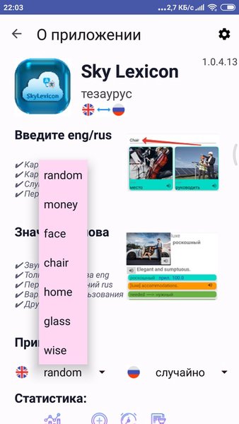 SkyLexicon — Образование, скриншот интерфейса 4