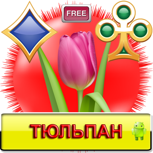 Тюльпан