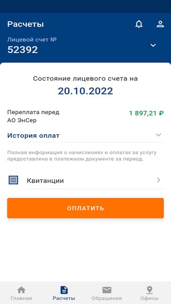 Кабинет ЭнСер — Социальные, скриншот интерфейса 3
