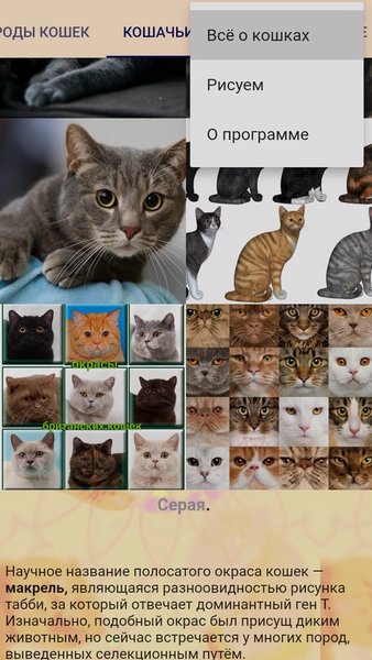 Коты  — Обучающие, скриншот интерфейса 3