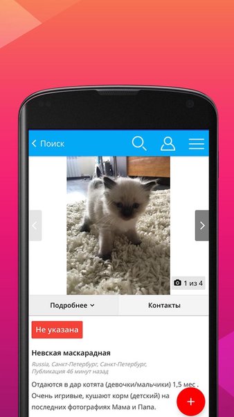 В добрые руки — Социальные, скриншот интерфейса 4