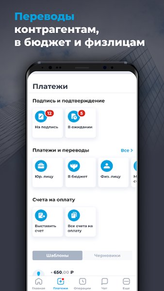 Локо Бизнес — Финансы, скриншот интерфейса 6