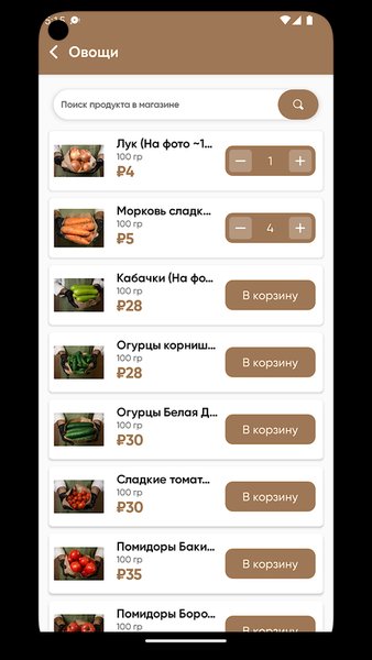 Пакет — Еда и напитки, скриншот интерфейса 3