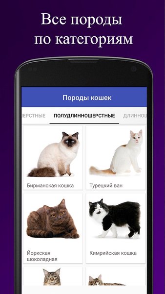 Породы кошек — Книги и справочники, скриншот интерфейса 2