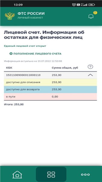 Личный кабинет участника ВЭД ФТС России — Бизнес, скриншот интерфейса 3