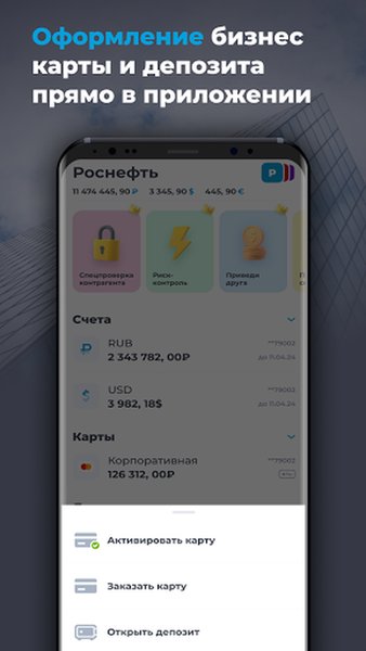 Локо Бизнес — Финансы, скриншот интерфейса 7