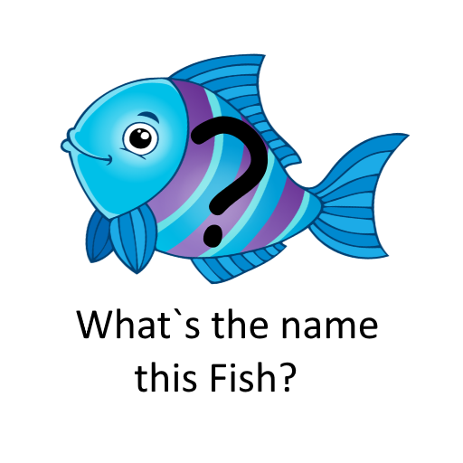 What`s the name this Fish?