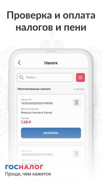 Гос налог - долги по налогам — Финансы, скриншот интерфейса 5
