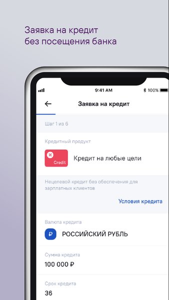 НОВИКОМ — Банки, скриншот интерфейса 5