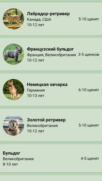 iLoveDog! - приложение для помощи собачникам — Инструменты, скриншот интерфейса 3