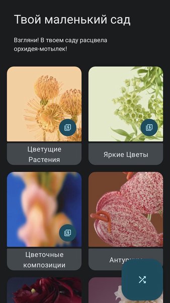 WallMan — Персонализация, скриншот интерфейса 5