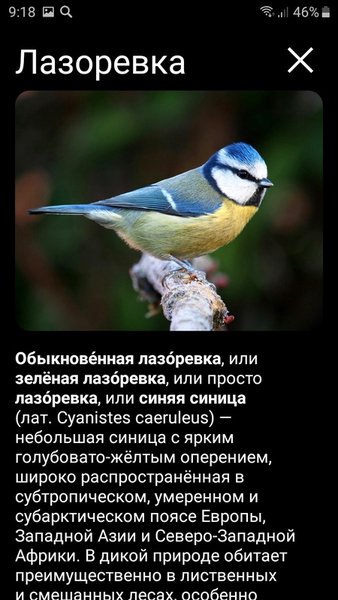 Манок на птиц: песни, позывки, голоса птиц — Книги и справочники, скриншот интерфейса 4
