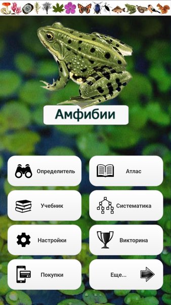 ЭкоГид: Амфибии - Фото, Голоса и Определитель — Книги и справочники, скриншот интерфейса 1
