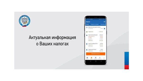 Налоги ФЛ — Бизнес, скриншот интерфейса 3