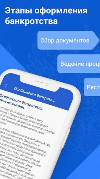 Банкротство: списание долгов ФССП через МФЦ, Госуслуги — Банки, скриншот интерфейса 3