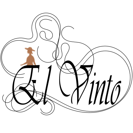 El Vinto programmer