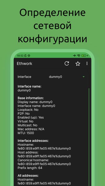 Ethwork: Netstat и Сеть — Инструменты, скриншот интерфейса 2