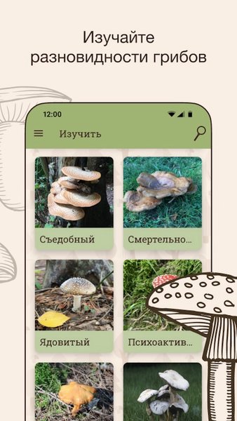 Гриб ID — Книги и справочники, скриншот интерфейса 3