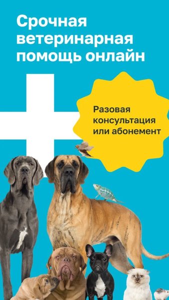Мой Ветеринар — онлайн-консультации врача 24/7 — Медицина, скриншот интерфейса 1
