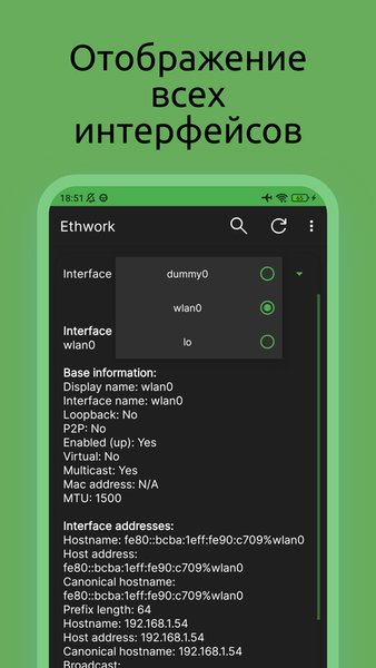 Ethwork: Netstat и Сеть — Инструменты, скриншот интерфейса 5