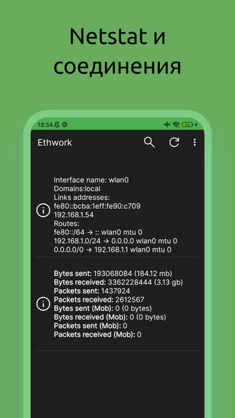 Ethwork: Netstat и Сеть — Инструменты, скриншот интерфейса 3