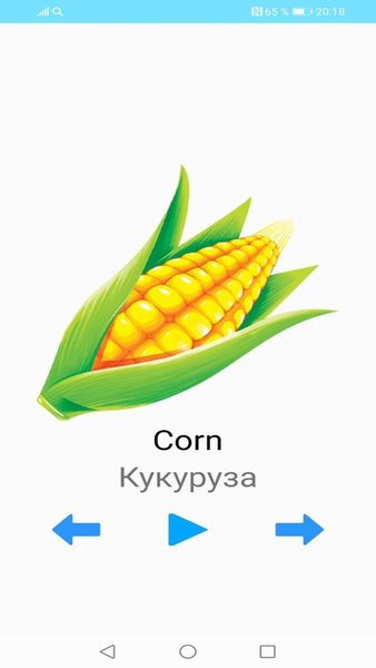Английский язык для детей — Образование, скриншот интерфейса 5